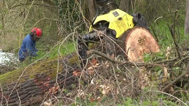 Vento forte sull’Aretino, il Consorzio attiva le squadre sul territorio - EzHrtxWMwls