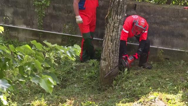 Oltre 12 milioni di euro per investire in prevenzione: approvato piano delle attività di bonifica - LMCqqEgWBQM