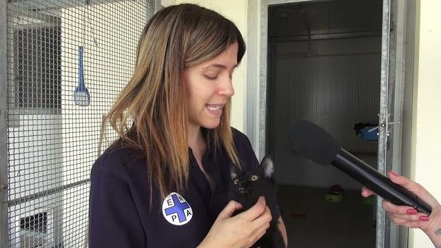 Otto cuccioli abbandonati e salvati da Enpa, adesso cercano una famiglia - LU6CWMgDe7M