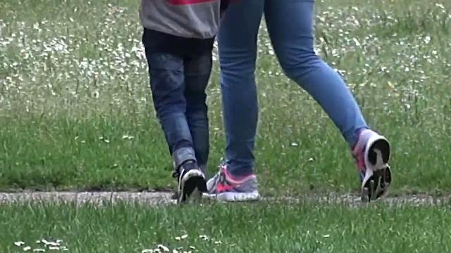 Le città toscane sempre più verdi, ad Arezzo il primato degli alberi per abitante - N3CoCMtsZQc