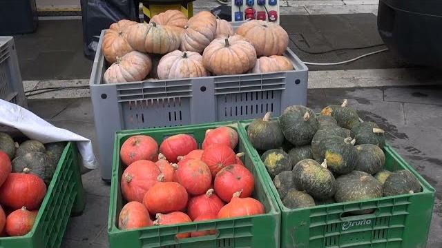 Coldiretti, il km zero di Campagna Amica protagonista in piazza San Jacopo