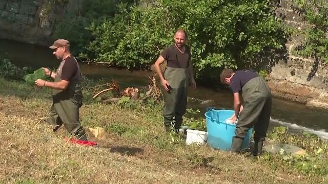 Conclusi i lavori di manutenzione sul torrente Staggia, movimentati circa 300 mc di sedimenti