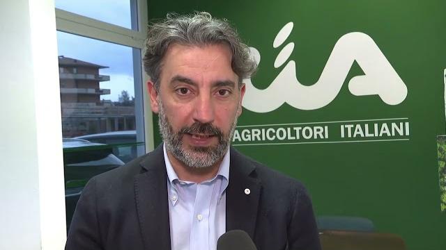 Cia Arezzo, Massimiliano Dindalini confermato direttore - TJq1M7GufkA