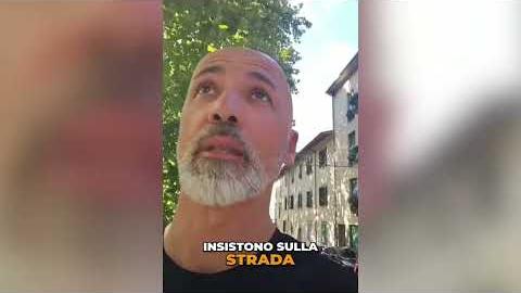 Potatura di platani in via Sansovino , interviene il vicesindaco Gamurrini - TOx1ROG1_z0