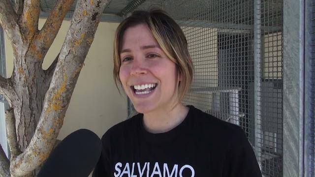 "Se abbandoni un animale il problema sei tu", torna la campagna di Enpa - UJ869tyKvIU