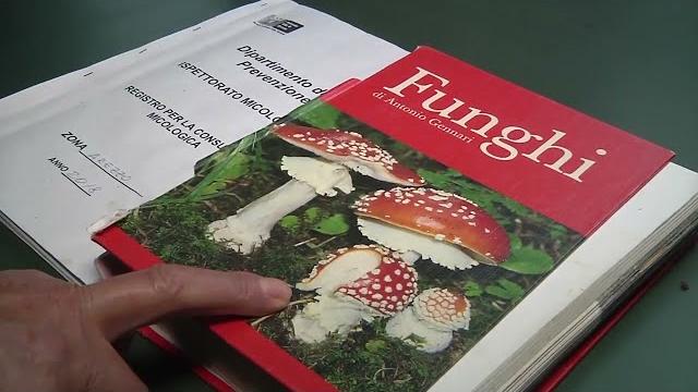 Funghi che passione, ma attenti a quelli velenosi. A disposizione gli sportelli Asl - UP6dutBMajA