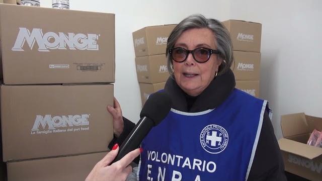 Arriva il Natale, appello di Enpa: “gli amici non si comprano. Adozioni comunque consapevoli” - VSdsEIVxQLU