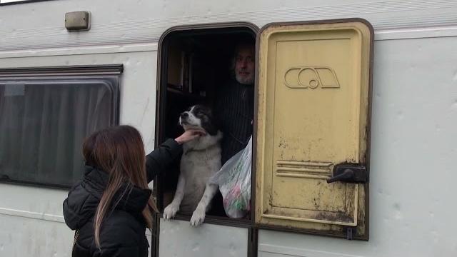 Bubu ha trovato una nuova famiglia, adottato il cane di Tiziano Birra - Z4EKbYl940w