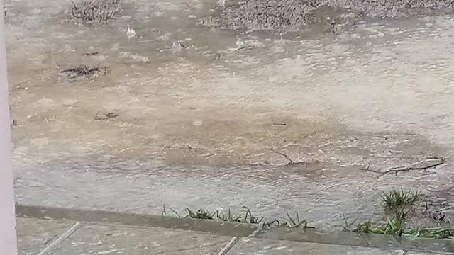 La protesta. Alla scuola Curina si allaga il cortile. "Abbiamo inviato mail al comune, ma nulla" - asYg7ONYOBI