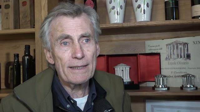 Olio di oliva, nell'Aretino ottima qualità ma cala la resa ai frantoi - bMv7uBez1ys