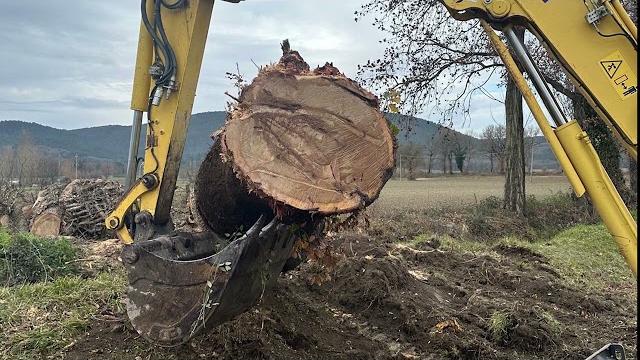 Anbi chiede alle Regioni di affidare ai consorzi di bonifica la gestione dei tratti fluviali - cHuwuK93eqk