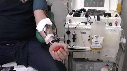 Caldo eccezionale, calano le donazioni di sangue. Appello ai donatori. C'è bisogno anche di plasma - fBXE3RunSMc