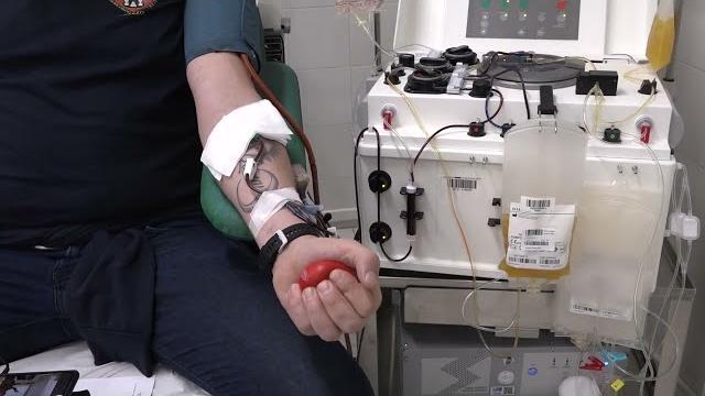 Caldo eccezionale, calano le donazioni di sangue. Appello ai donatori. C'è bisogno anche di plasma