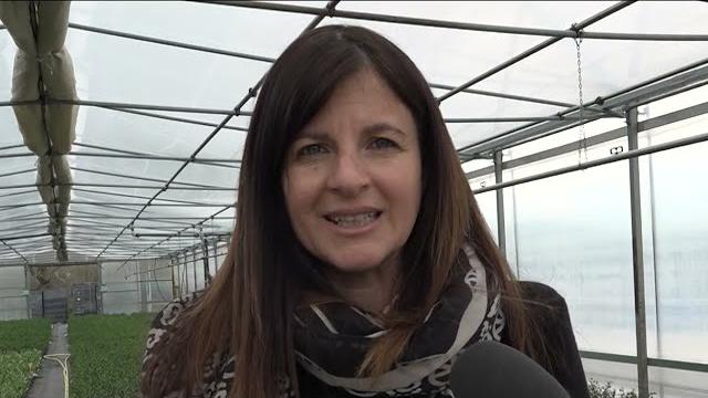 “Tanta buona preziosa: l’acqua di Montedoglio vista dai bambini” - oUeOrO2FSoU