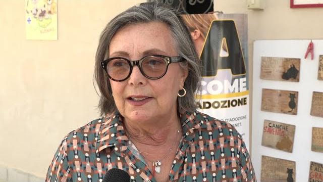 Ondata di abbandoni anche ad Arezzo, la condanna di Enpa: "non è un rifiuto" - s6RRQqJ2c4Y