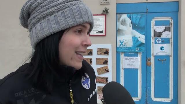 17 febbraio, giornata del Gatto: l'appello di Enpa Arezzo - slH2NfaBQXo