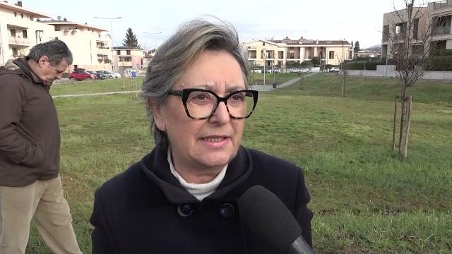 Pioppi abbattuti lungo il Castro, i cittadini protestano e la Regione ferma i lavori - u5c1_QppUzA