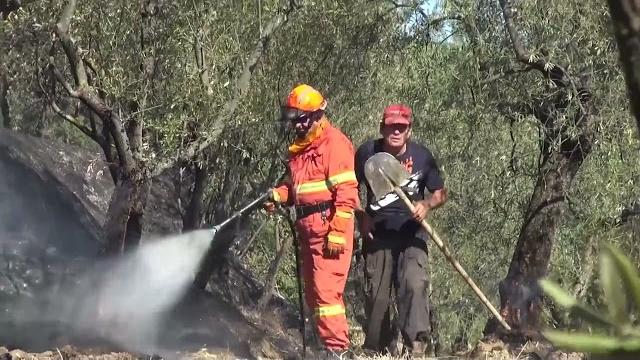 Caldo e rischio incendi, la Toscana proroga il divieto di abbruciamenti