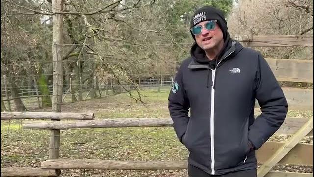 Dalla Rete Santuari Animali liberi un appello per la cerva e per il futuro del Parco di Lignano - wkCLuiuaWOQ