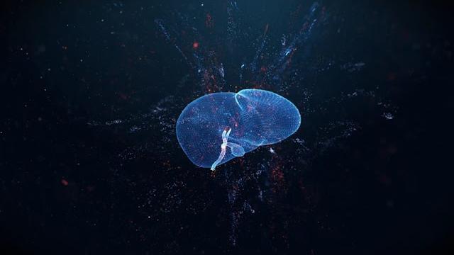 Epatite C, in arrivo gli sms per prenotare il test - yivpcIwG6Xo