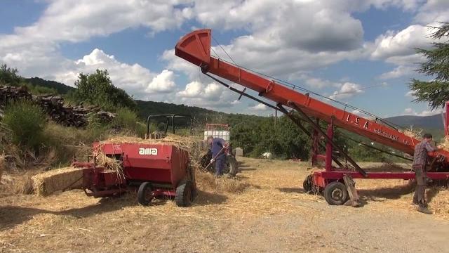 L'antica battitura del grano: la rievocazione a Bibbiano - 2TE4uGlURmk