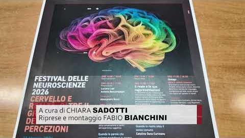 Torna a San Giovanni Valdarno il Festival delle Neuroscienze - DcpSa7V7YHQ