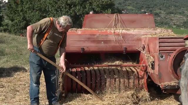 L'antica battitura del grano. La rievocazione a Bibbiano, coinvolti anche i giovani del paese - iG_PGH5JPBE
