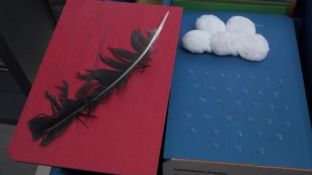 Giornata mondiale della vista. Alla Casa dell'Energia arriva la TD Box: la mostra di libri tattili - tlm3gbQc6kI