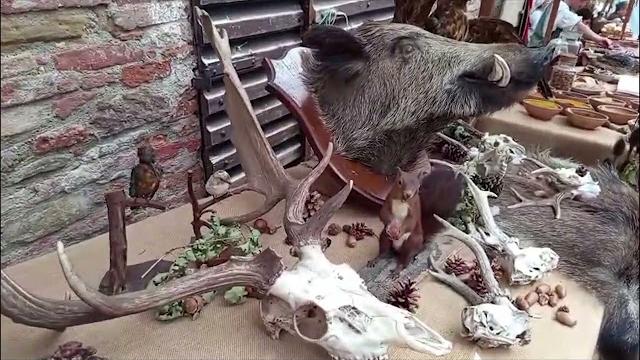 Marciano della Chiana rievoca la Battaglia di Scannagallo - wYjexF_3iA8